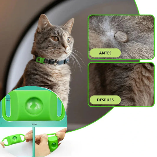 EcoPet™ — Protección Natural Contra Pulgas y Garrapatas Para Tus Mascotas