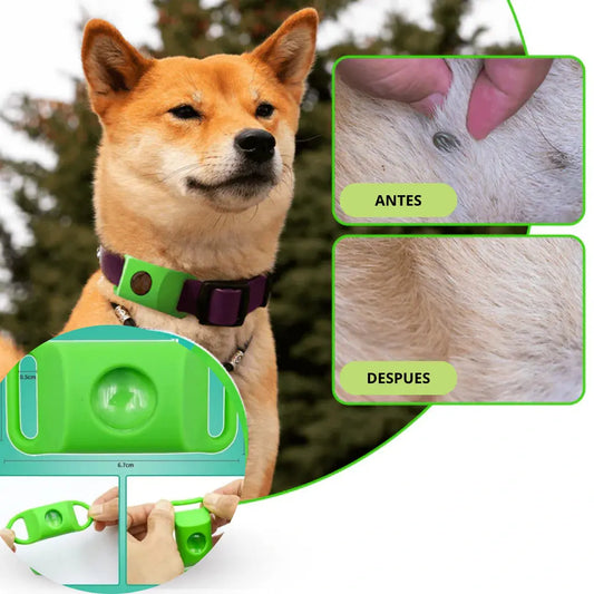 EcoPet™ — Protección Natural Contra Pulgas y Garrapatas Para Tus Mascotas