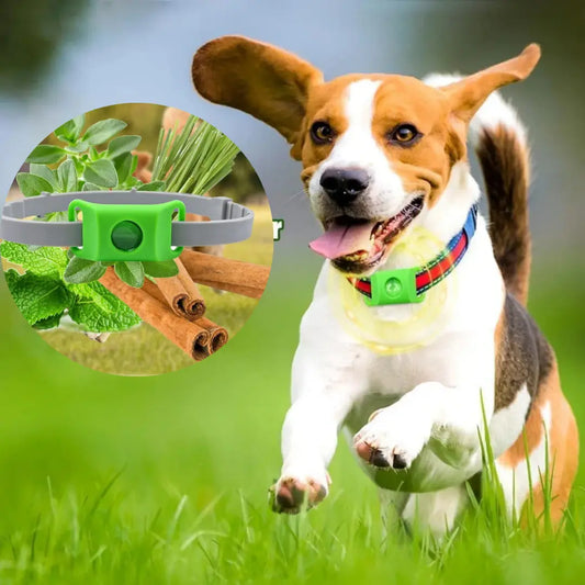 EcoPet™ — Protección Natural Contra Pulgas y Garrapatas Para Tus Mascotas